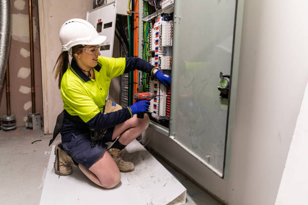 Best Electric Panel Repair  in Cresco, IA