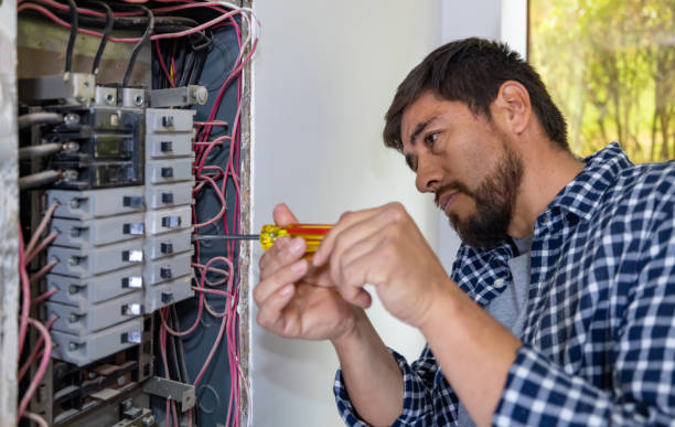 Best Electrician for Home Renovation  in Cresco, IA